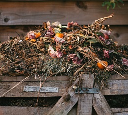 backyard sustainability composting